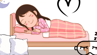 IMG 7288 scaled e1763528660318