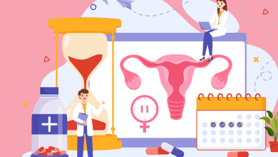 IMG 7293 scaled e1763529134200