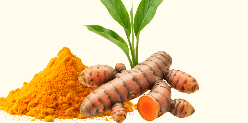 أعشاب طبيعية لتحسين الهضم