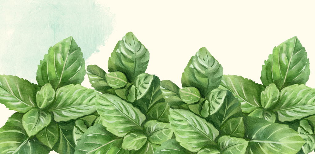 أعشاب طبيعية لتحسين الهضم