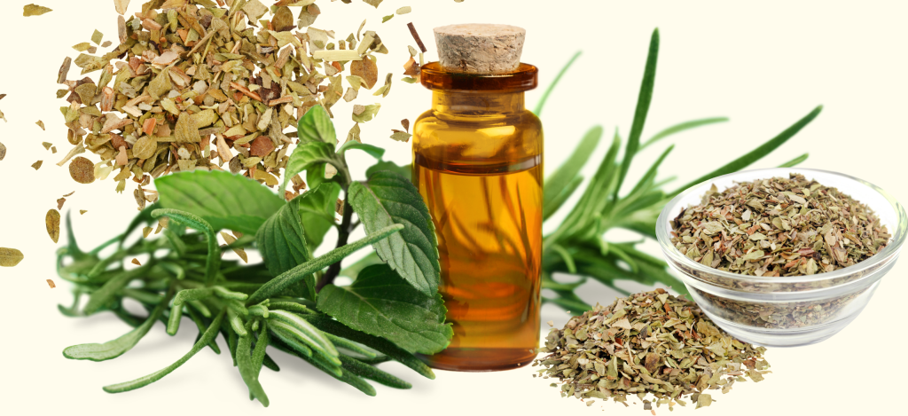 أعشاب طبيعية لتحسين الهضم