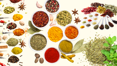 IMG 7310 scaled e1763529743167