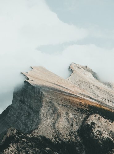 اليوم الأول لمؤتمر صحة