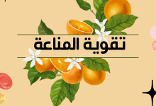 IMG 7235 scaled e1763443199339