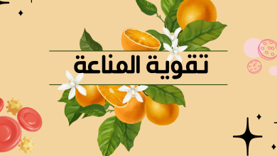 IMG 7235 scaled e1763443199339