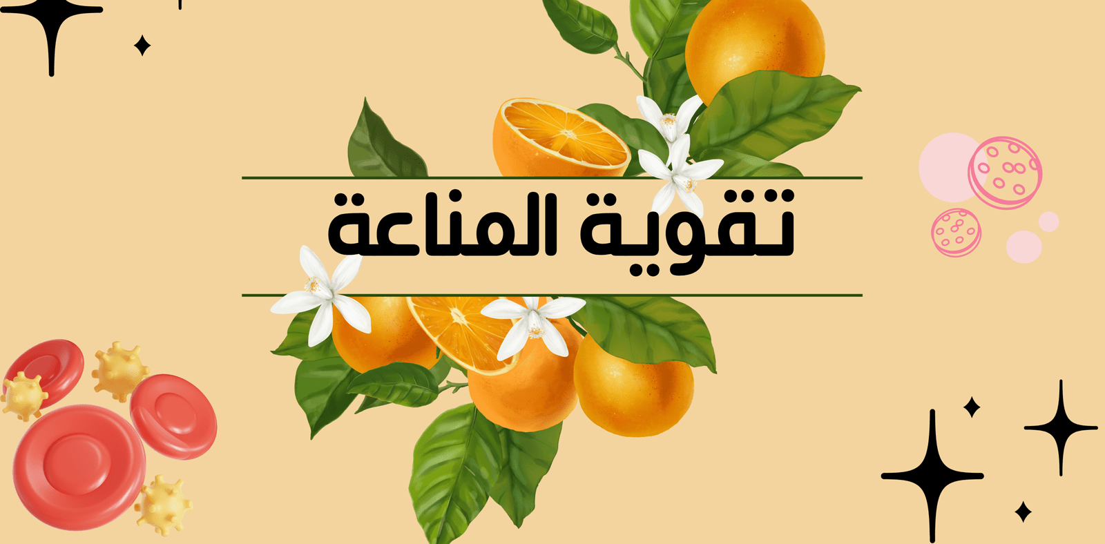 IMG 7235 scaled e1763443199339