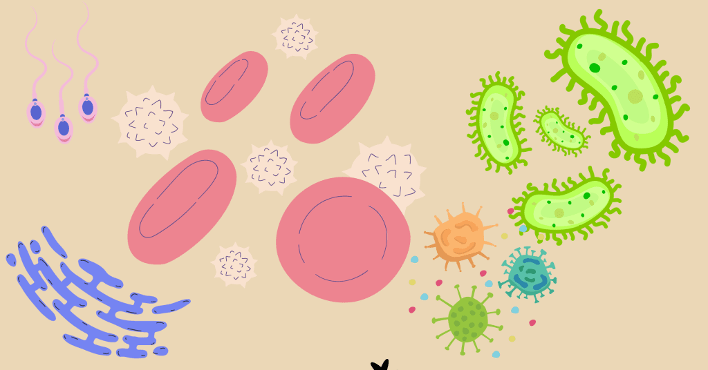 أفضل 10 أطعمة صحية لا غنى عنها في نظامك الغذائي