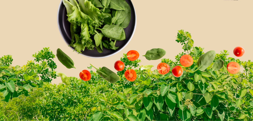 أفضل 10 أطعمة صحية لا غنى عنها في نظامك الغذائي