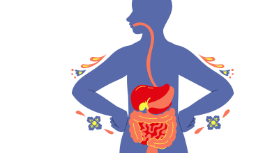 IMG 7330 scaled e1763429853849